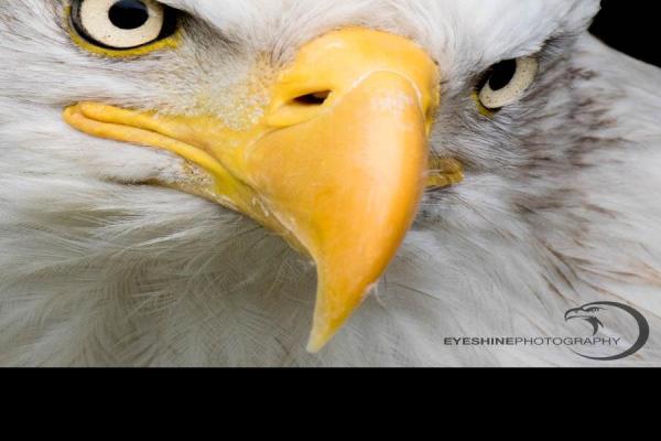 DSC_3283.jpg (900 x 900)